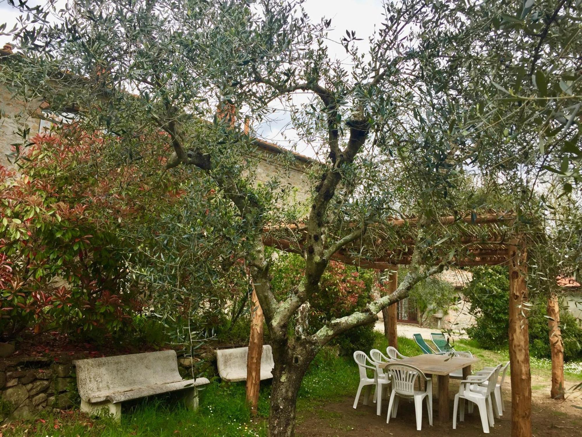 Agriturismo Fattoria Celle فيليني فالدارنو الغرفة الصورة