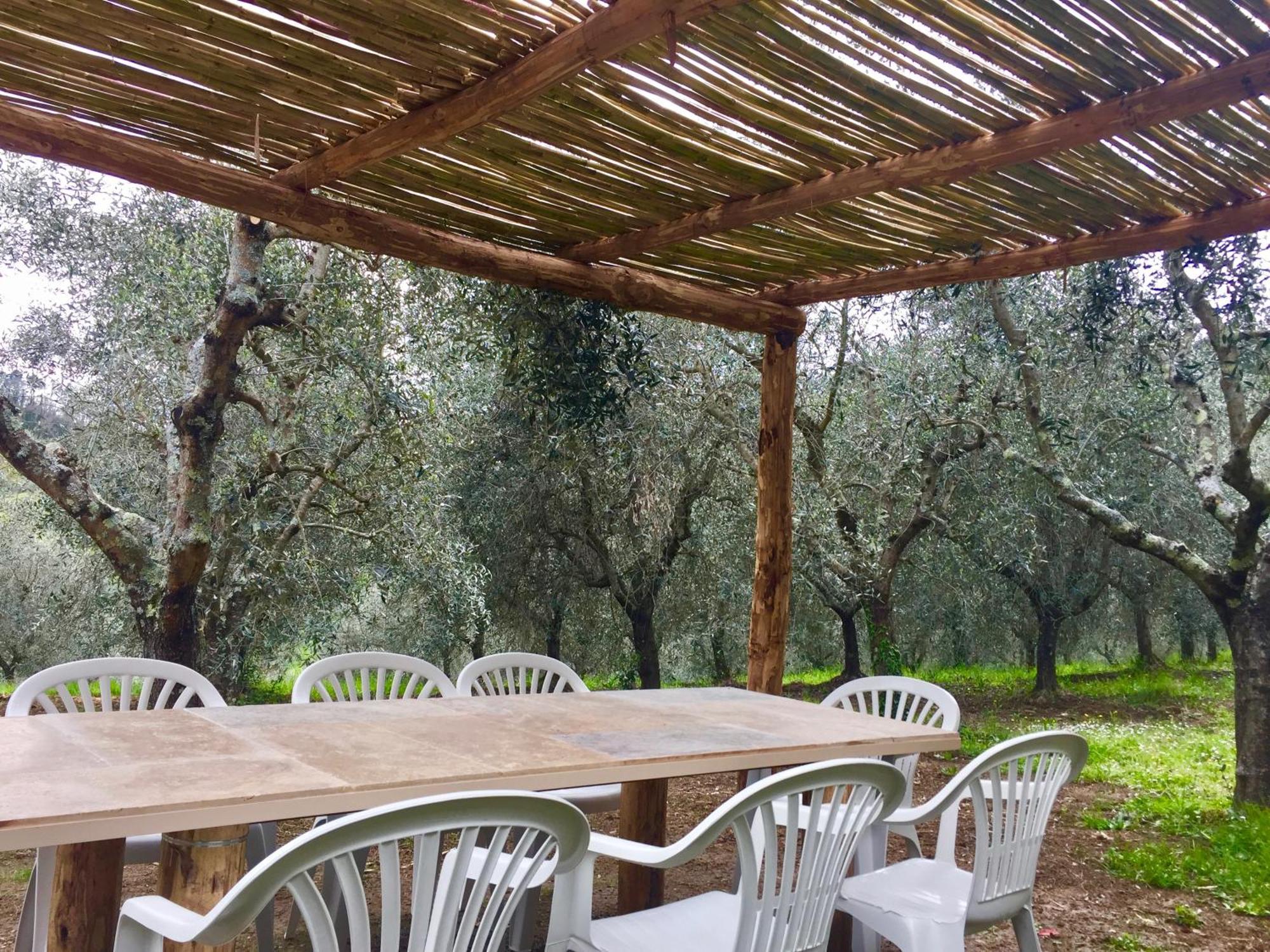 Agriturismo Fattoria Celle فيليني فالدارنو الغرفة الصورة