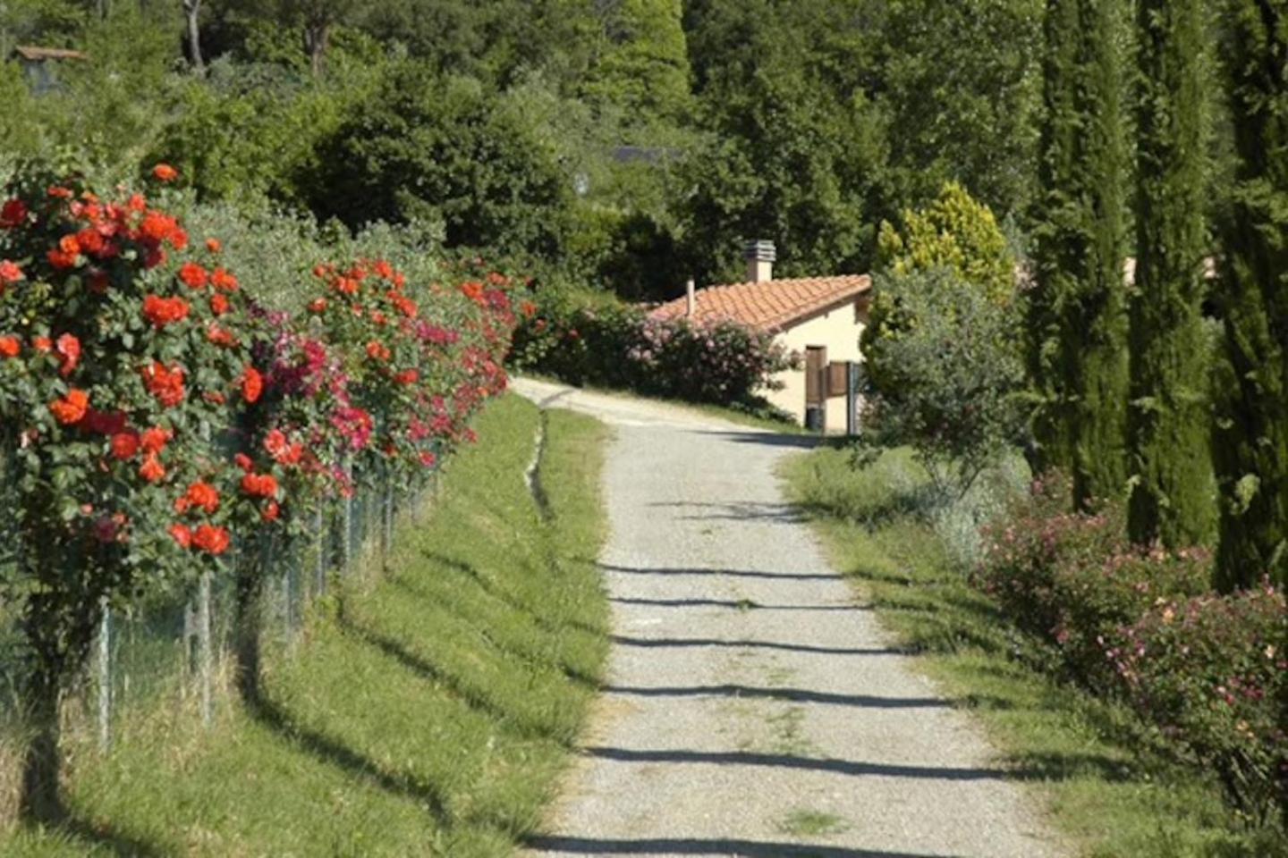 Agriturismo Fattoria Celle فيليني فالدارنو الغرفة الصورة